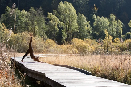 Join us for a Vinyasa Yoga class at Lake Garda 2